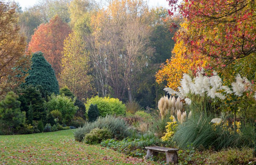 Foggy Bottom, Washington, DC, USA, United Kingdom